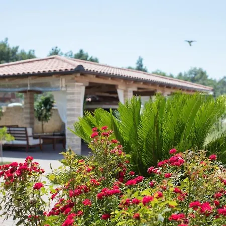 In With Sea View, Terrace, Air Conditioning, Wi-fi Vir